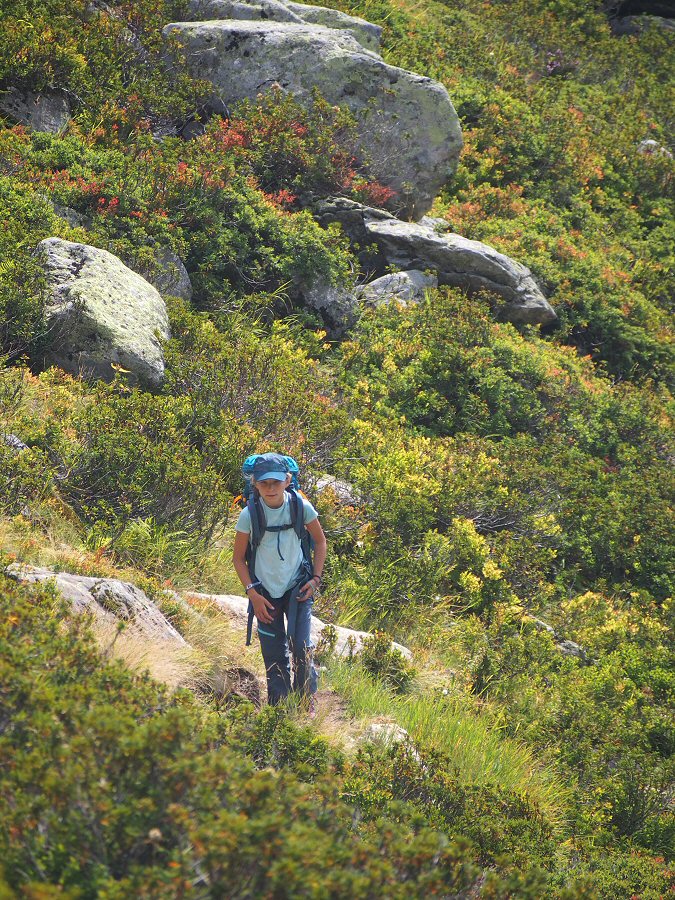 au milieu des Myrtilles