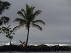 Hilo beach