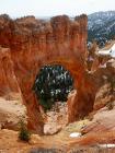 Bryce canyon