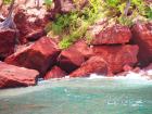 Red sand beach