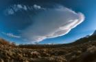 lenticulaire de bishop