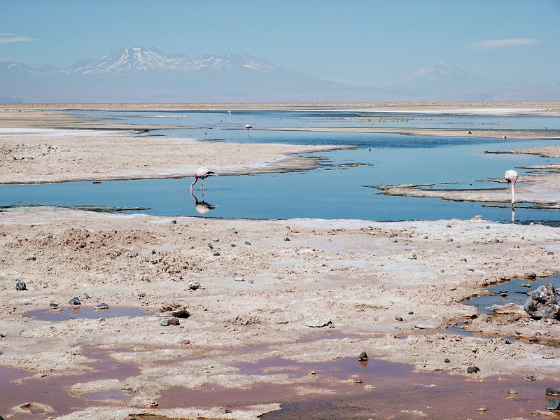 Le salar