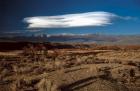 lenticulaire de bishop