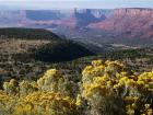 La Sal Mountain