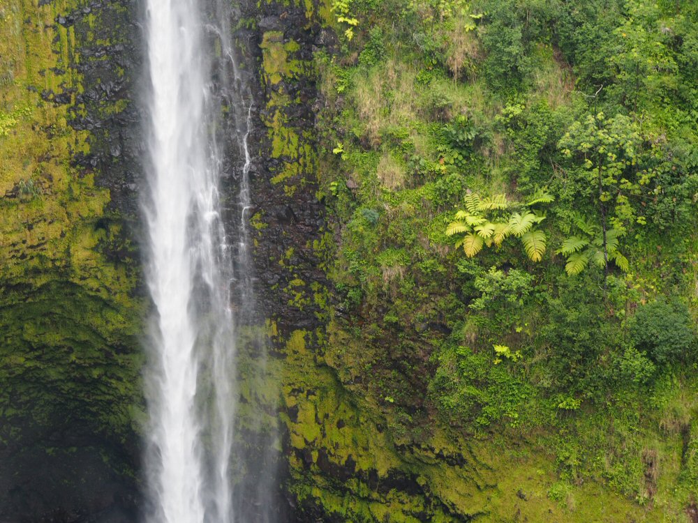 Akaka falls