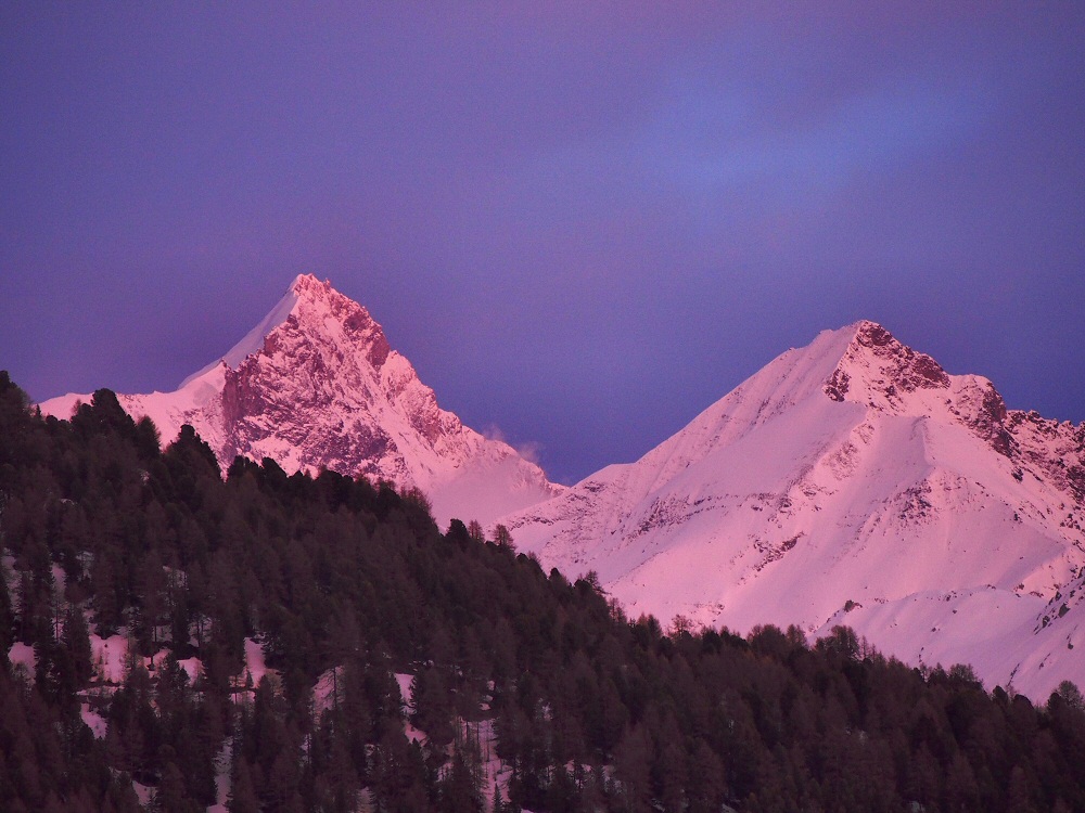 Pink-Weisshorn