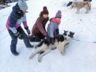 Mushing sous le Miroir