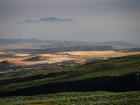 Surroundings of Nanyuki