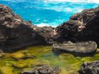 Olivine pool