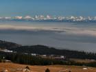 Chasseron paquerette