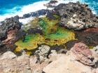 Olivine Pool