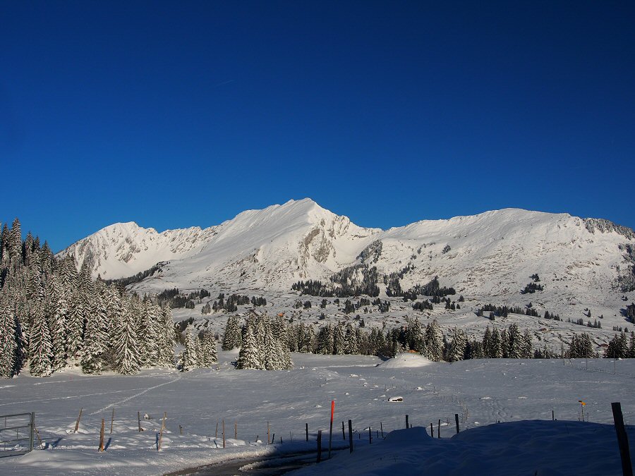 Mont d'Or reblanchi