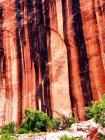 Moab rock, UT