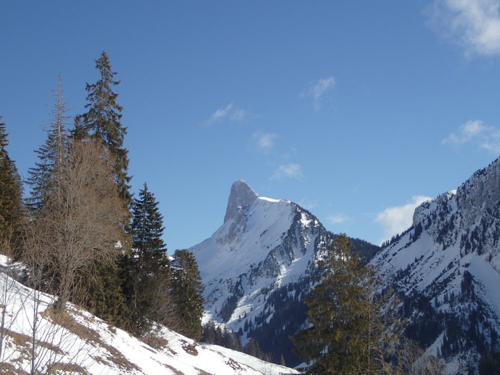 Le point de départ