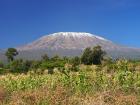 kili_106.JPG