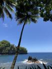 jardin Botanique tropical d'Hawaii