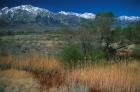 Alabama hills