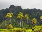 Kualoa range