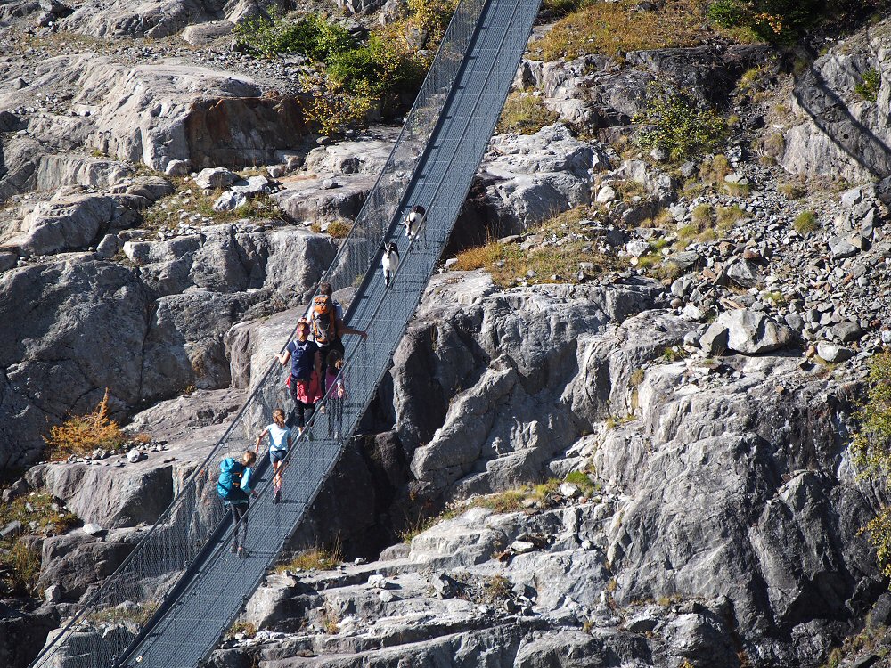 Hängebrücke et les biquettes