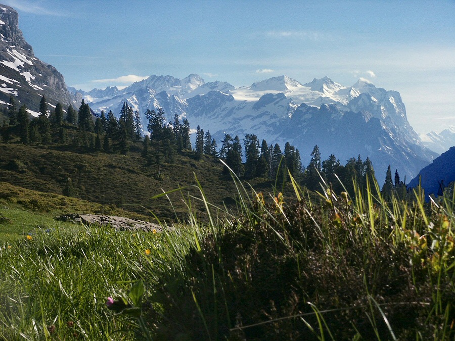 Wetterhorn