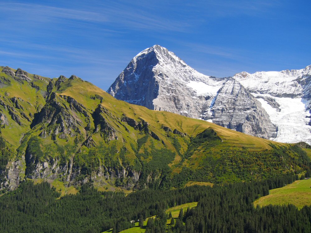 Un Eiger dans les champs verts...prémonition?