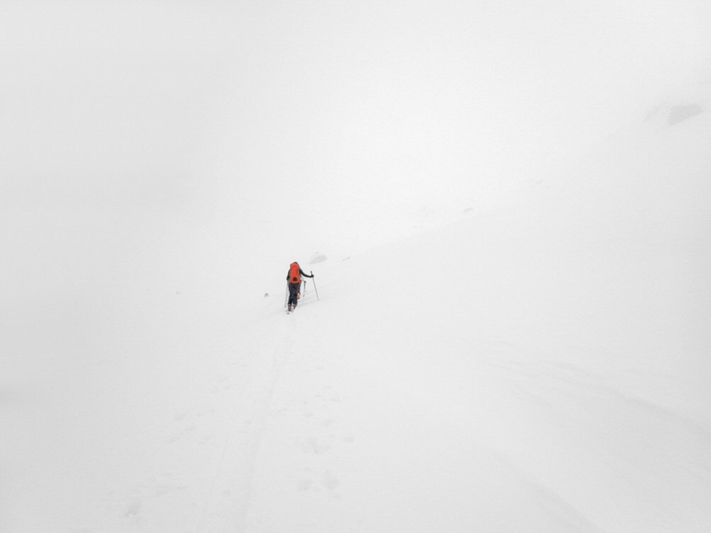 on voulait du blanc, il est la