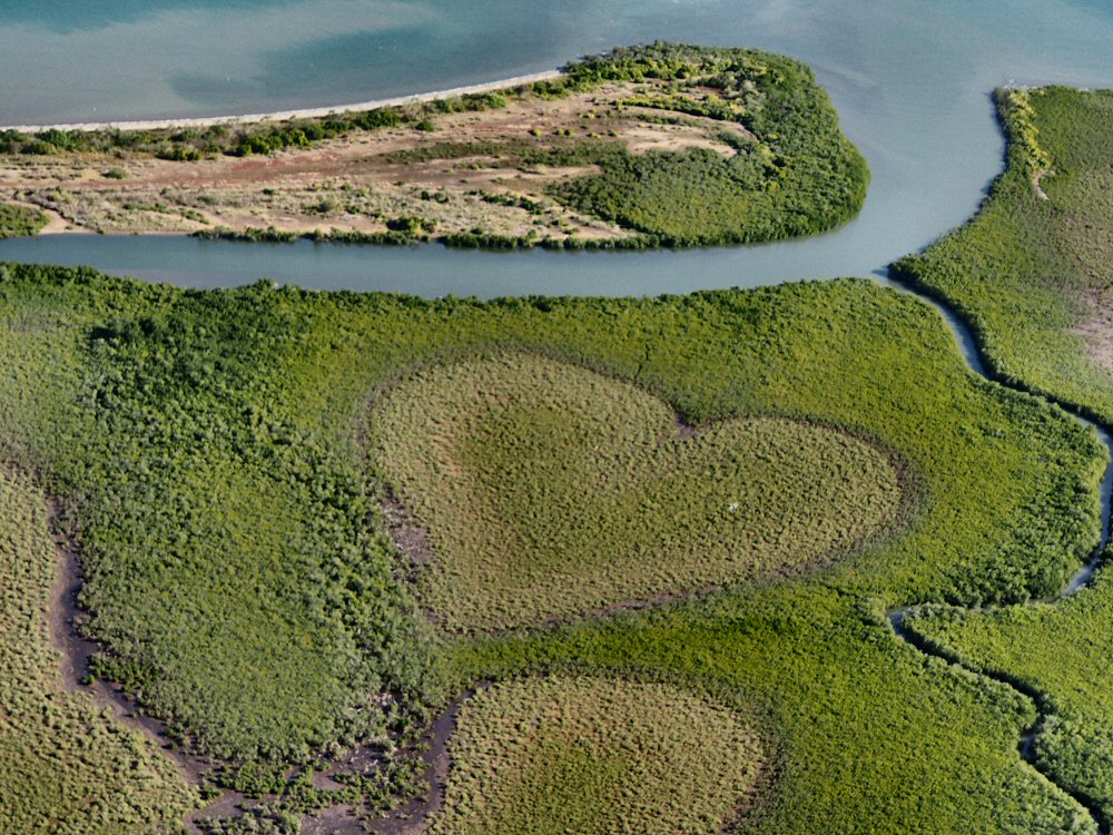 Coeur de Voh, new caledonia