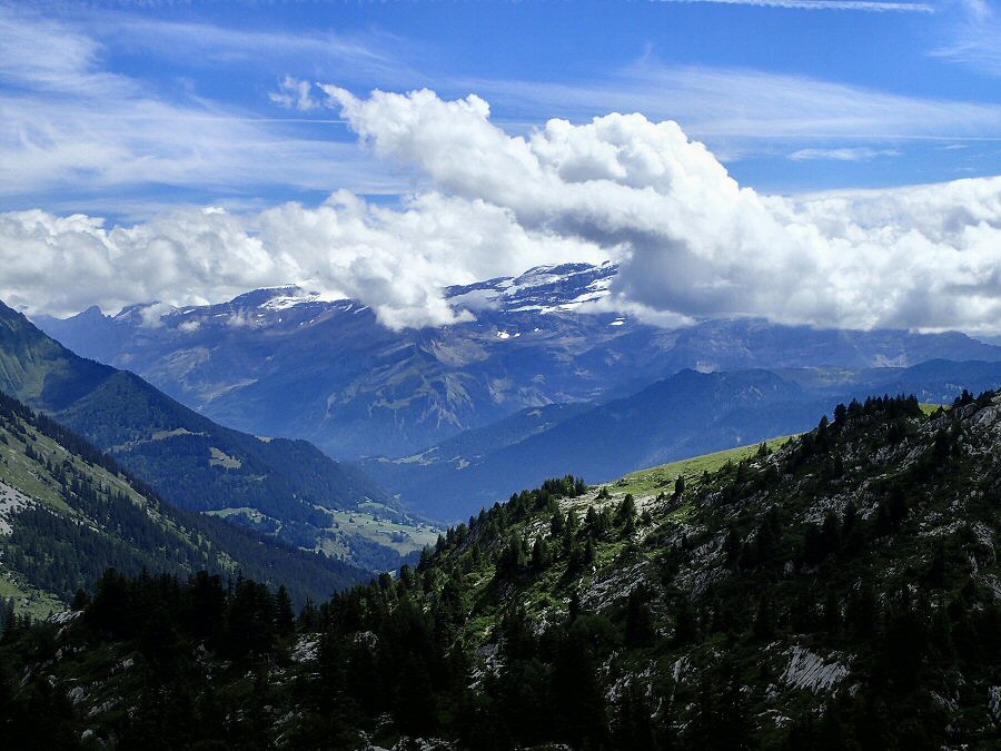 la neige fraiche est enfin de retour