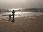 Les Landes...ou l'autre pays de la pluie