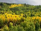 Colorful Colorado