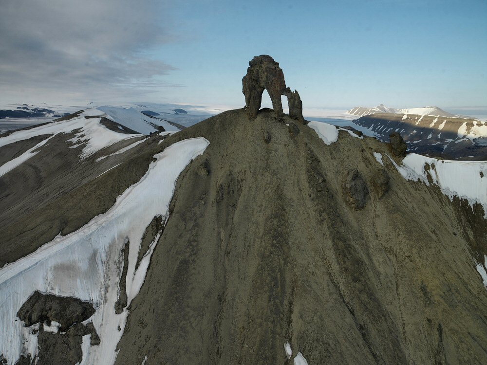 Tarentelen, Svalbard