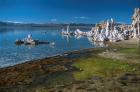 Mono Lake area