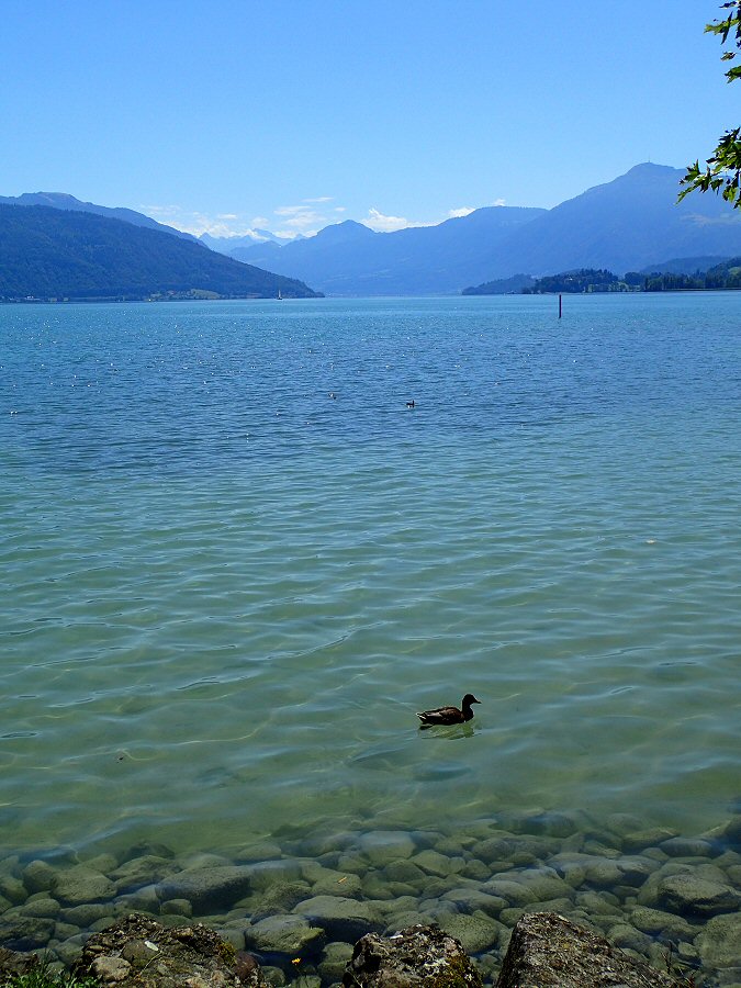 Zugersee