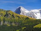 Un Eiger dans les champs verts...prémonition?