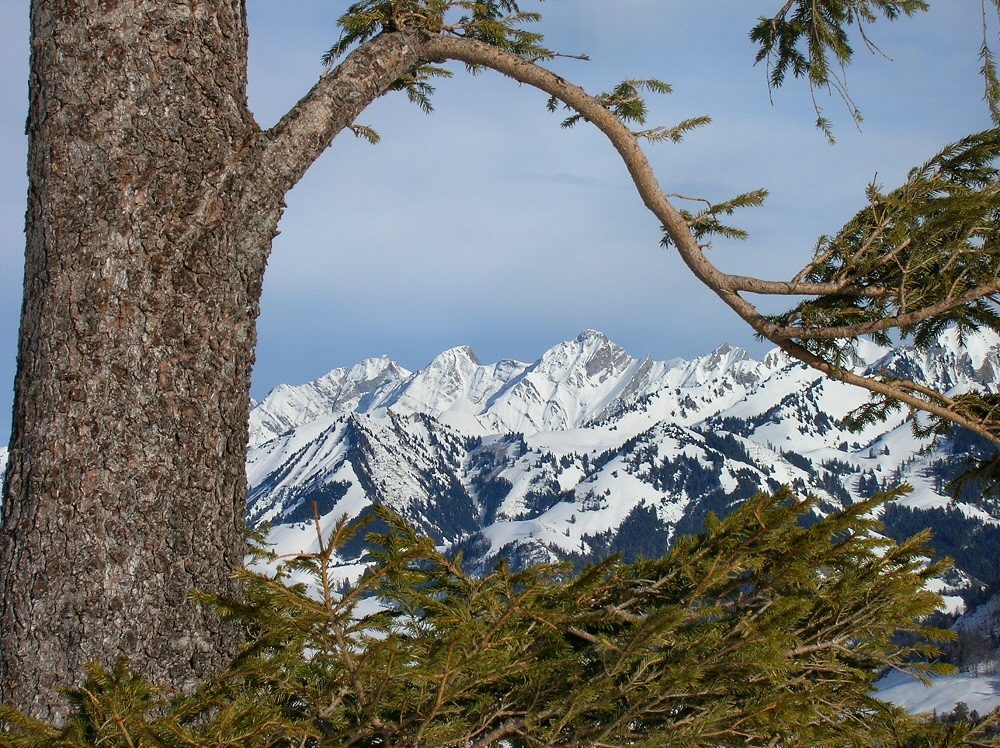 Fenêtre sur Intyamon