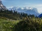 Engstlenalp et Wetterhorn