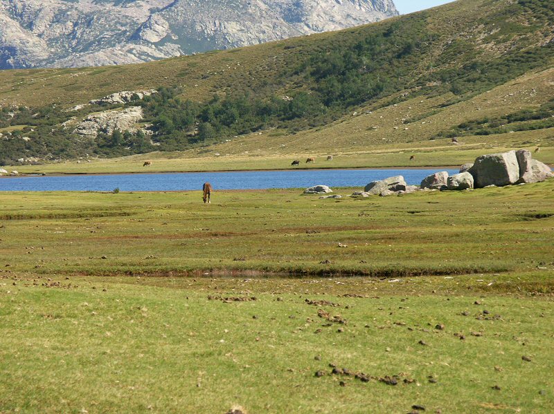 Lac de Ninu