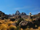 Mount Kenya