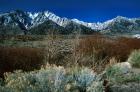 Alabama Hills