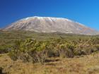 Kilimanjaro