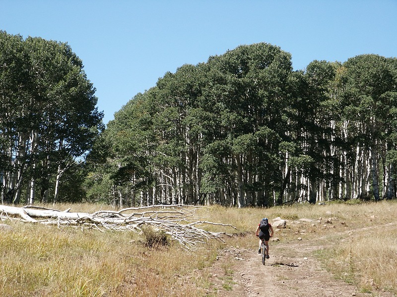 Montee au Geyserpass