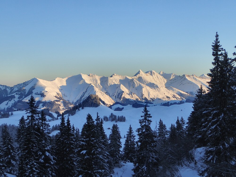 Les Vanils reblanchis