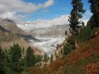 Aletsch-Belalp