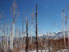 Basin couloir