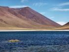 Laguna Miniques, Chile