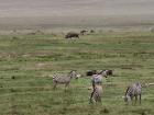 NgoroNgoro