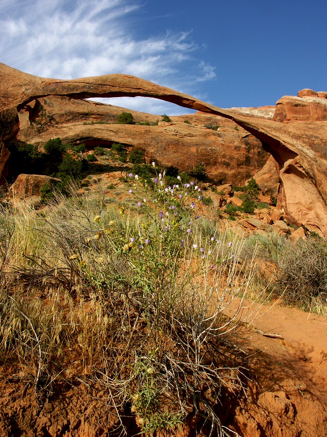 Landscape arch, UT