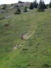 descente du Cunay sur gazon