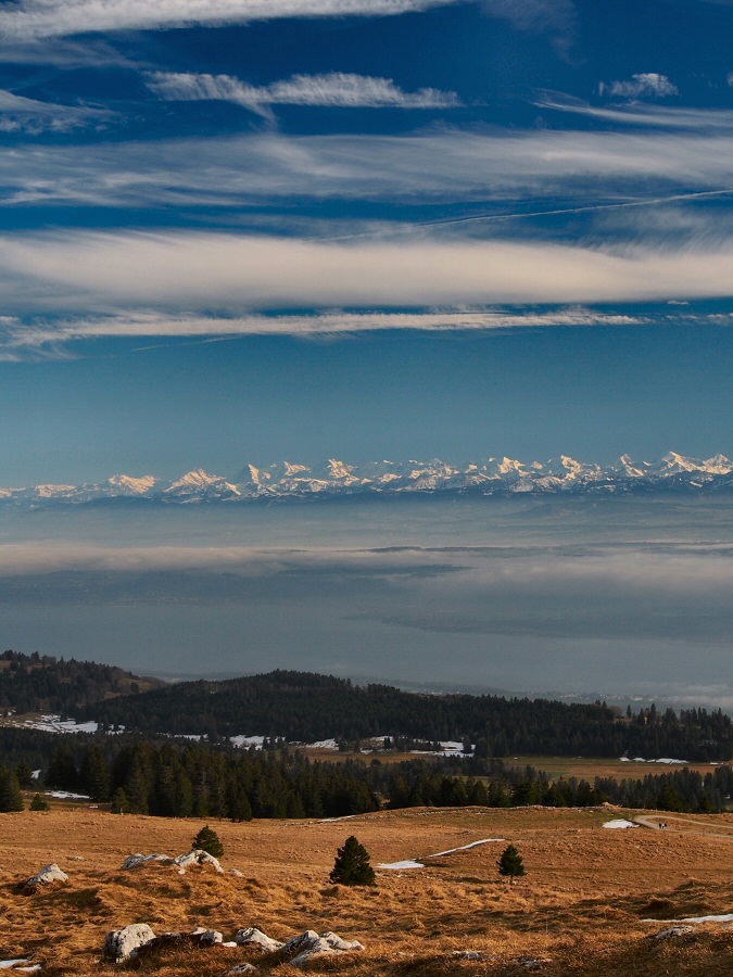 Alp view from Chasseron