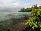 Hilo Beach